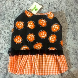 Small Halloween doggie dress